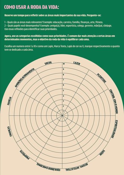 Folha da Roda da Vida com as áreas carreira, saúde, finanças e relacionamentos
